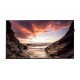 Samsung PM32F Monitor LED BLU 32"