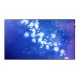 Samsung QM75F Monitor E-LED BLU 75"